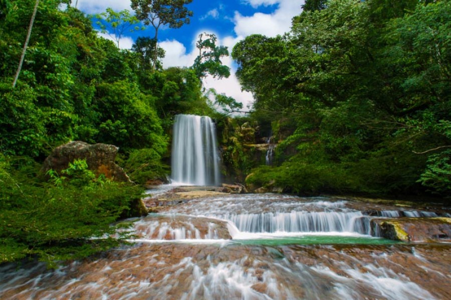Jaime Enrrique  Castiblanco Arboleda Cao Lajon